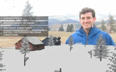 Understanding Snow Squalls and Blizzards: A 3D Weather Guide