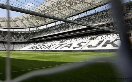 Highlights from Beşiktaş vs. Kayserispor Match