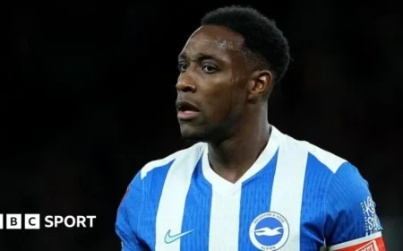Brighton vs Bournemouth: Premier League Preview, Team News, Stats & Head-to-Head