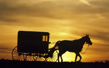 Amish Communities Embrace E-Bikes, Replacing Traditional Horse Travel