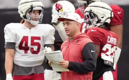 Lions Appoint Drew Petzing as New Offensive Coordinator