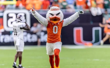 Meet Sebastian the Ibis: Iconic Miami Hurricanes Mascot and UM Traditions