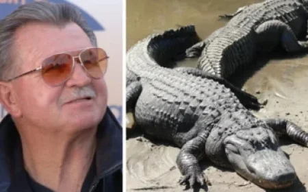 Joy Taylor Flaunts Bikini Body on Beach Getaway, Receives Love from Fans