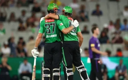 BBL Squad Announced: Stars Prepare for The Knockout Round