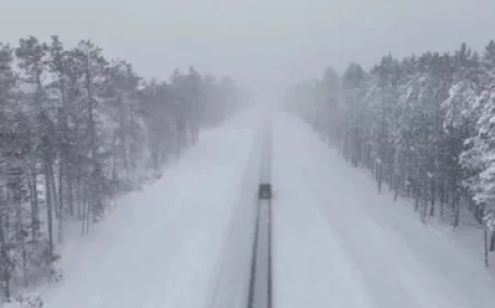 Comparing Nasdaq’s Top Performers with S&P’s Comprehensive Lineup: QQQ vs. RSP