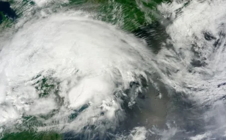 Attribution Science Enhances Grid Resilience Insights