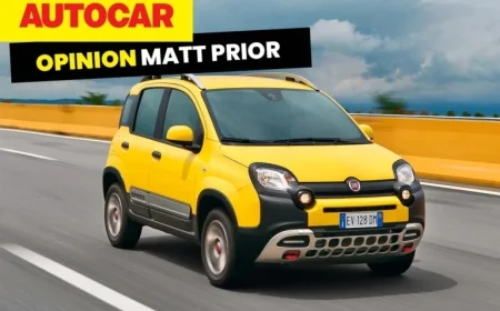 EU E-Car Hype: From 49 Affordable Models to Just One