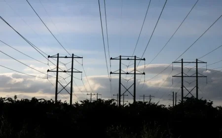 Trump’s Energy Promises: One Year Review by NPR