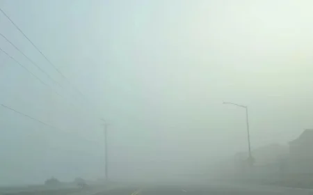 Decades-Thick Fog Engulfs the Valley!