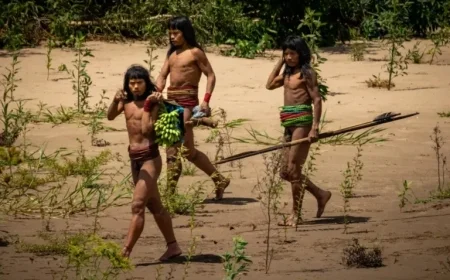 Exploring the Untouched Tribes: Lethal Arrows and Unique Survival Practices
