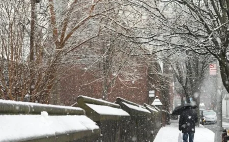 Forecasters Warn: NYC to Receive Over 6 Inches of Snow This Weekend
