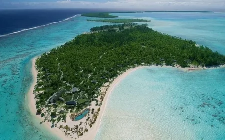 Explore the Eco-Friendly Private Island Paradise Built by Marlon Brando
