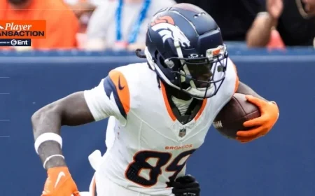 Broncos Add WR Brandon Johnson to Practice Squad