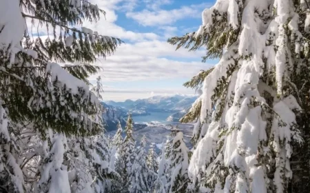 Express Entry Cut-Off Score Hits New Low: Thousands Invited