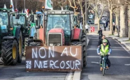 Mac Allister’s Liverpool Faces Marseille in Crucial Champions League Clash