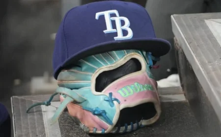 Update on Rays Stadium Development Plans