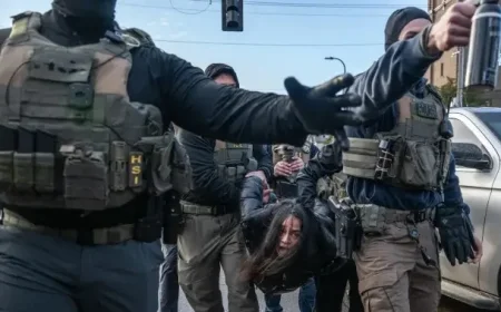 ICE Agents Forcibly Remove Disabled Woman from Car in Minneapolis