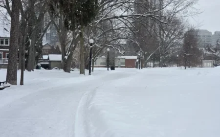 Snowfall Alert: Up to 20 cm Expected Wednesday