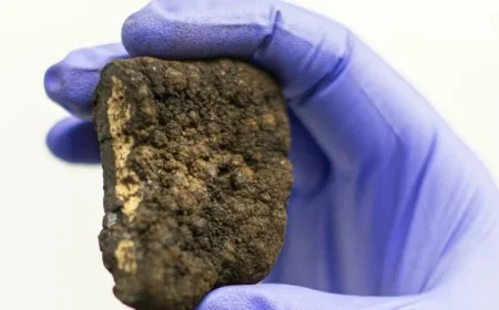 Trump Defies Global Pleas, Pushes Forward with Deep-Sea Mining