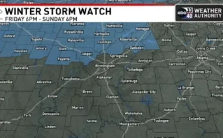 Rutte: NATO Should Prioritize Ukraine Over Greenland