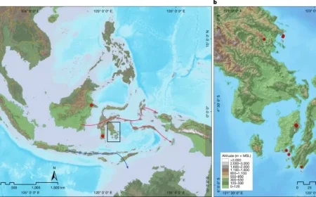 67,800-Year-Old Rock Art Unearthed in Sulawesi