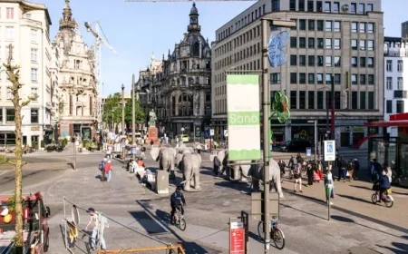 Two Suspects Arrested After Six Stabbed in Central Antwerp Protest