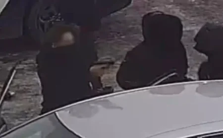 Gunshots and Fight Erupt Outside Antoine-Brossard School