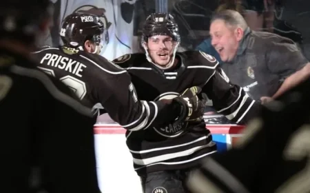 Islanders Sign Former Calder Cup Champion Dubé