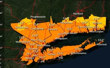NYC Winter Storm: Sunday Snowfall Predictions Revealed