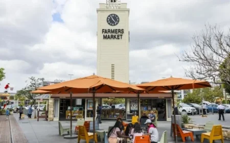 English Defies Rules: Navigating the Language’s Complexities