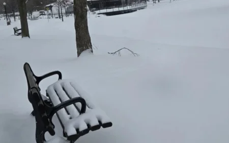 Heavy Snowfall on Friday Keeps Travel Conditions Challenging