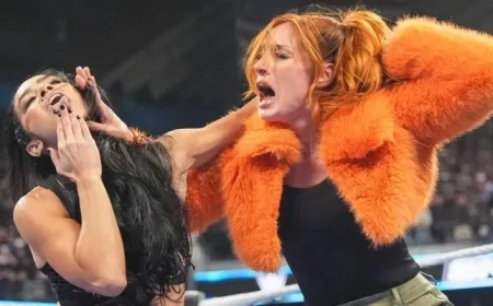 January 2026 Rumor Roundup: AJ Lee’s WrestleMania 42 Plan, Logan Paul Ban, More