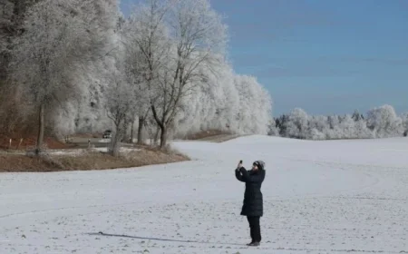 Exploding Trees Phenomenon: Uncover the Winter Mystery