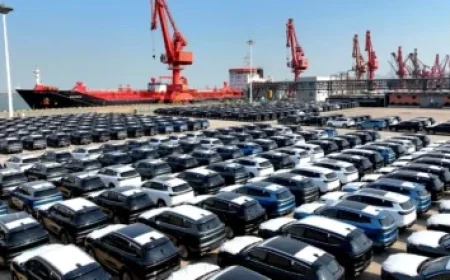 Marineland Seeks Federal Approval to Export 30 Belugas to U.S. Aquariums