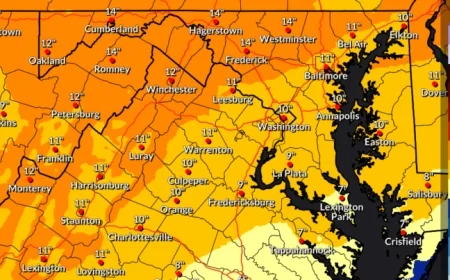 Northern Virginia Braces for Winter Storm: Up to 14 Inches Expected