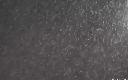 Pittsburgh Snowstorm Forecast: Start and End Times Revealed