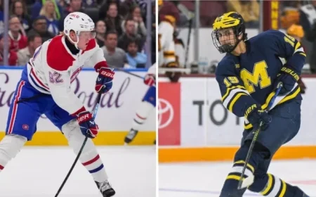 Laine Faces Limited Market; Hage Demand Rises