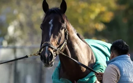 “Sovereignty Triumphs as Horse of the Year, Top 3YO Male”