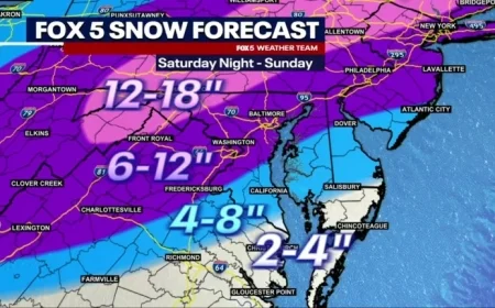 DC Braces for Winter Storm: State of Emergency Declared