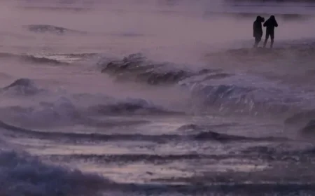 Winter Storm Alert: Essential State-by-State Updates from NPR