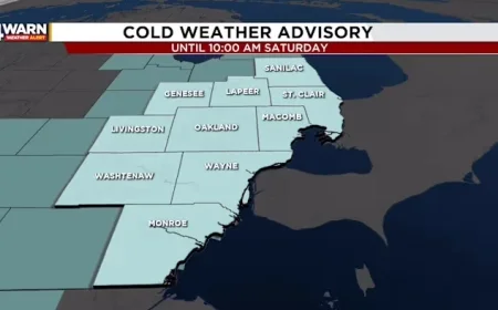 Frigid Temperatures Bring More Snow to Metro Detroit This Weekend