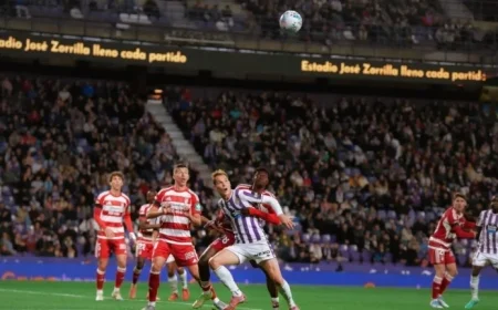 Victory for the Fans