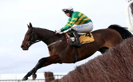 Cheltenham Trials Day: Live Trackside Updates and Racing Insights
