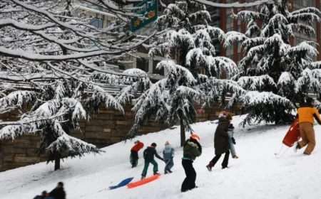 Maximize Safety and Enjoyment During This Weekend’s NYC Snowstorm