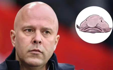 Arne Slot Likened to ‘Human Blobfish’ in Viral Comparison