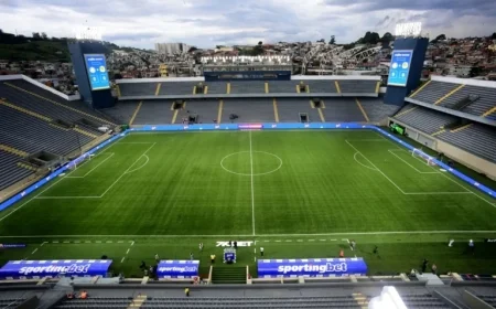 Palmeiras vs São Paulo: Live Stream, Kickoff Time, and Lineups