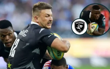 Sharks Player Ratings vs Stormers: Springboks ‘Man-Mountain’ Shines