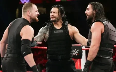 Seth Rollins Sees a Slim Chance for Shield Reunion in One Place