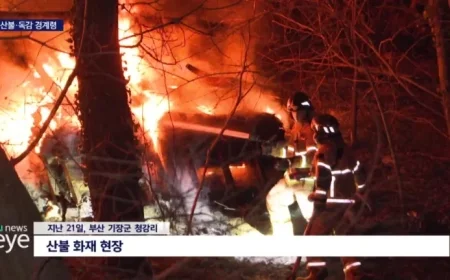 Dry Weather Spurs Wildfires and Influenza Outbreaks