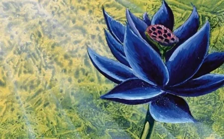 Hasbro Accused of Misleading Investors Over Magic: The Gathering Set Sales